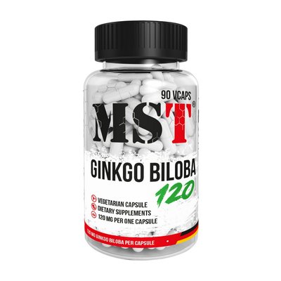 Ginkgo Biloba 120 mg (90 veg caps) 000024204 фото