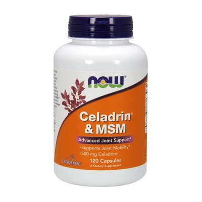 Celadrin & MSM (120 caps) 000013090 фото