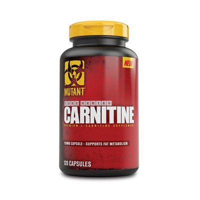 Carnitine (120 caps) 000012279 фото