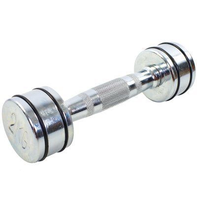 Гантель хромированная Record DB5204-2 (1x2кг) (1шт, металл хромированный, с резиновыми кольцами) DB5204-2 фото