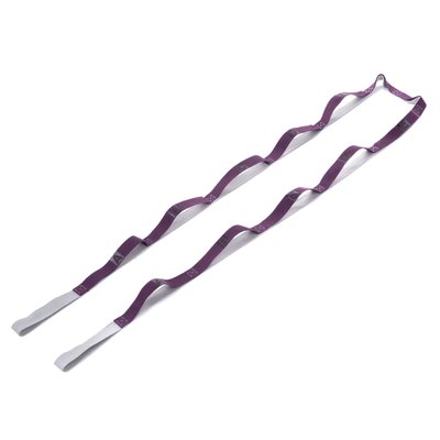 Лента для растяжки Record Stretch Strap FI-1723 (10 петель, полиэстер, l-230cм, цвета в ассортименте) FI-1723_Фиолетовый фото